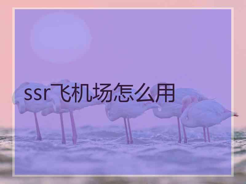 ssr飞机场怎么用