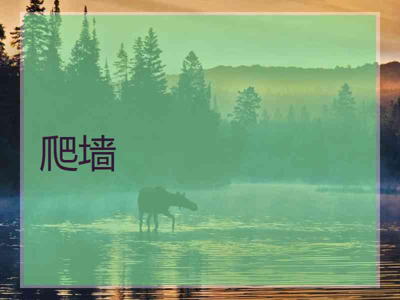 爬墙