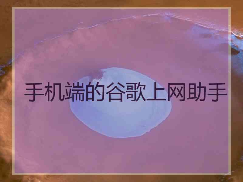 手机端的谷歌上网助手