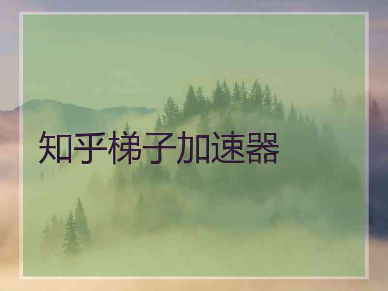 知乎梯子加速器