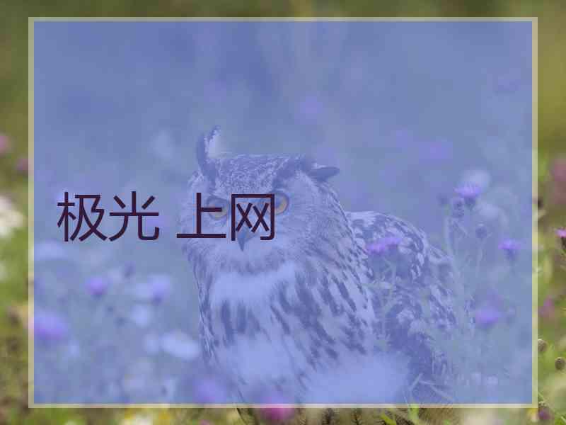 极光 上网