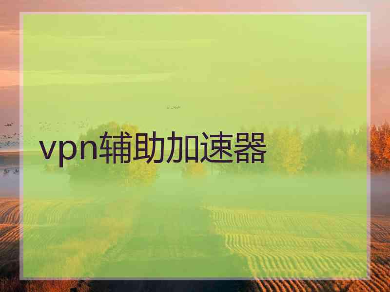 vpn辅助加速器