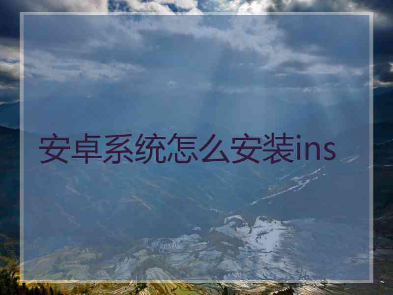 安卓系统怎么安装ins