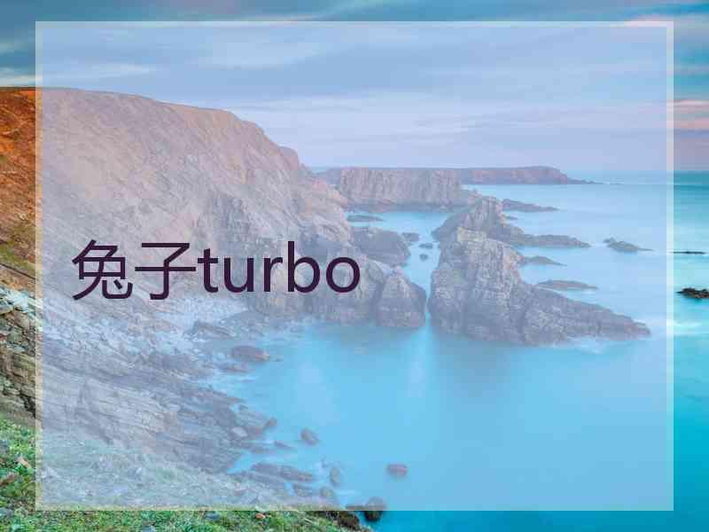兔子turbo