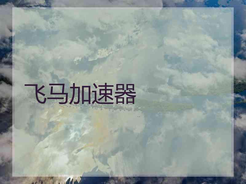 飞马加速器