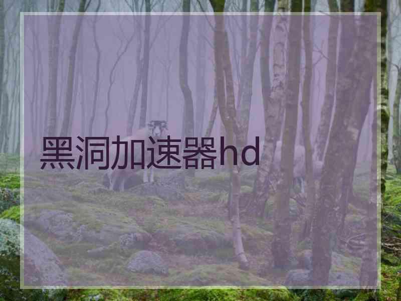 黑洞加速器hd