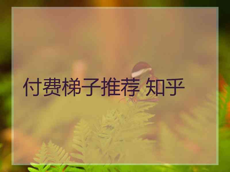 付费梯子推荐 知乎
