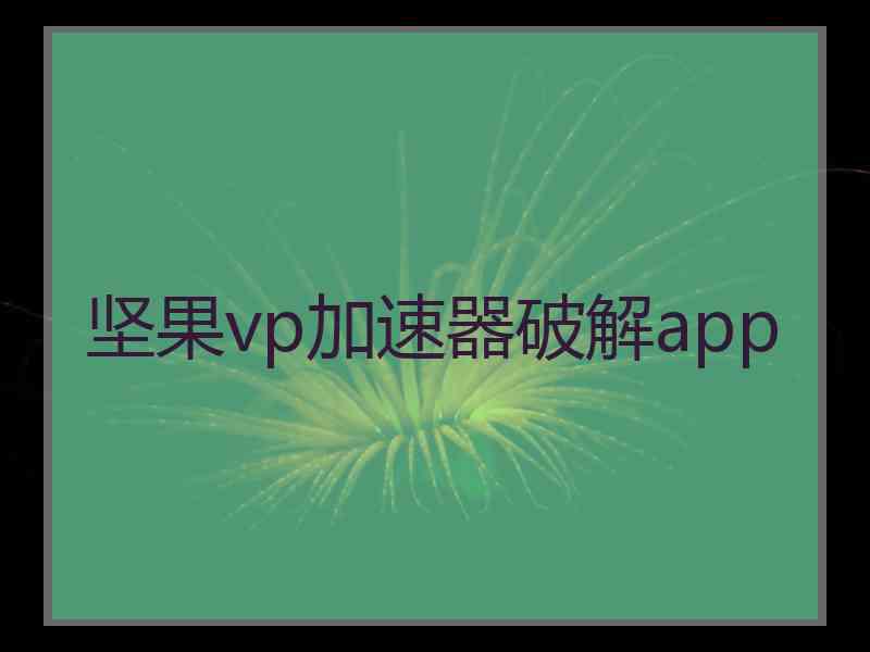 坚果vp加速器破解app
