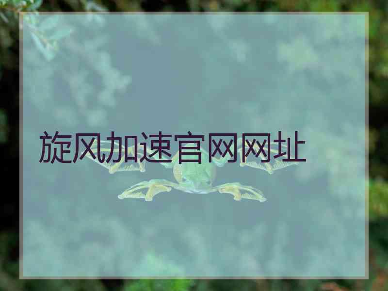 旋风加速官网网址