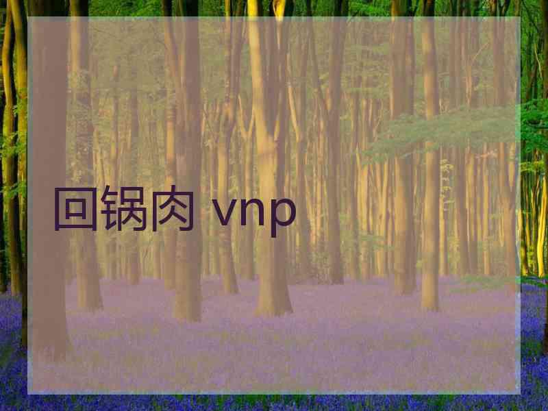 回锅肉 vnp