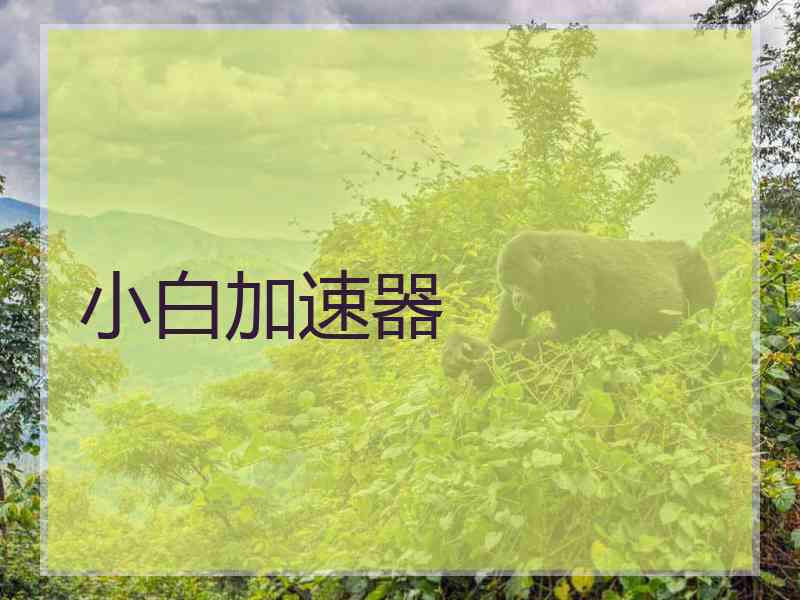小白加速器