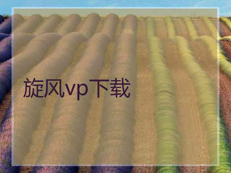 旋风vp下载