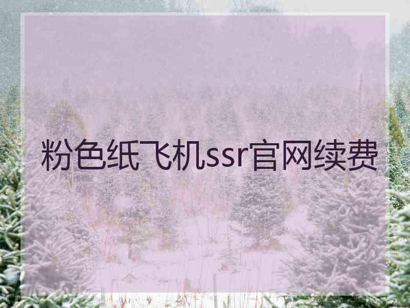 粉色纸飞机ssr官网续费