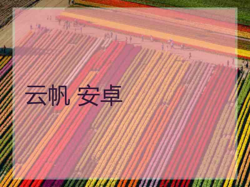 云帆 安卓