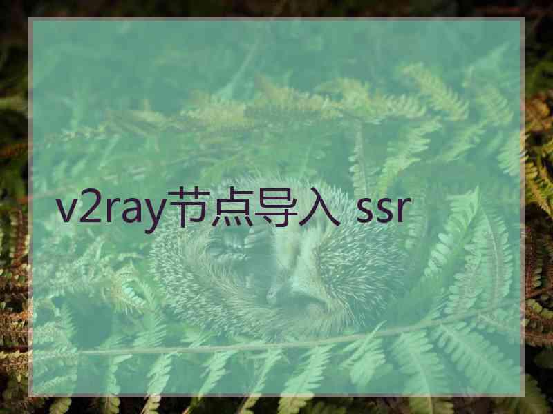 v2ray节点导入 ssr