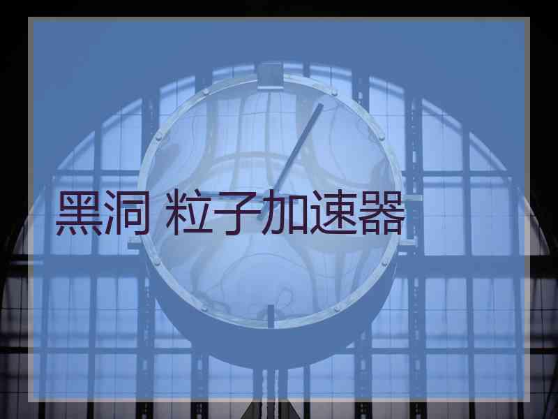 黑洞 粒子加速器