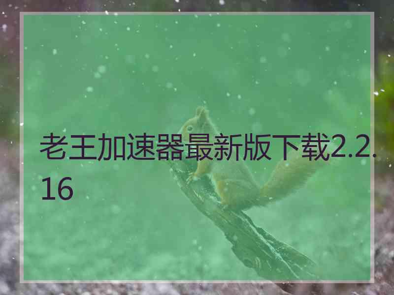 老王加速器最新版下载2.2.16