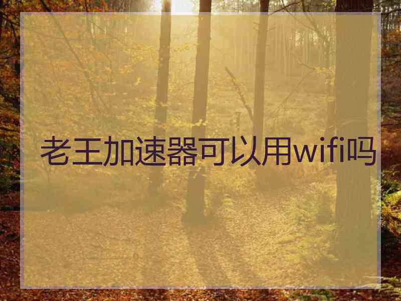 老王加速器可以用wifi吗