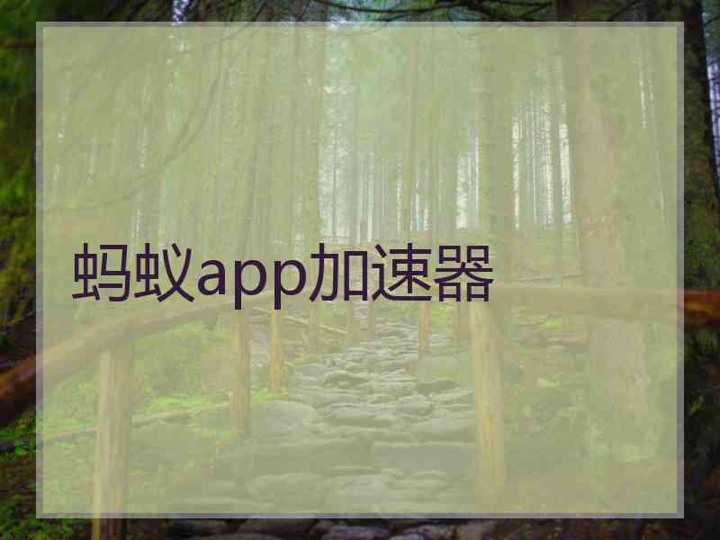 蚂蚁app加速器