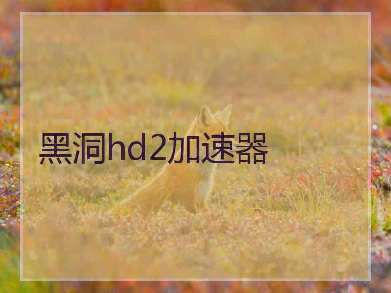 黑洞hd2加速器