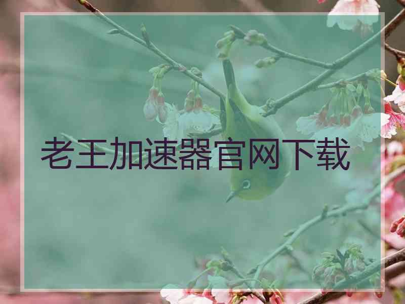 老王加速器官网下载