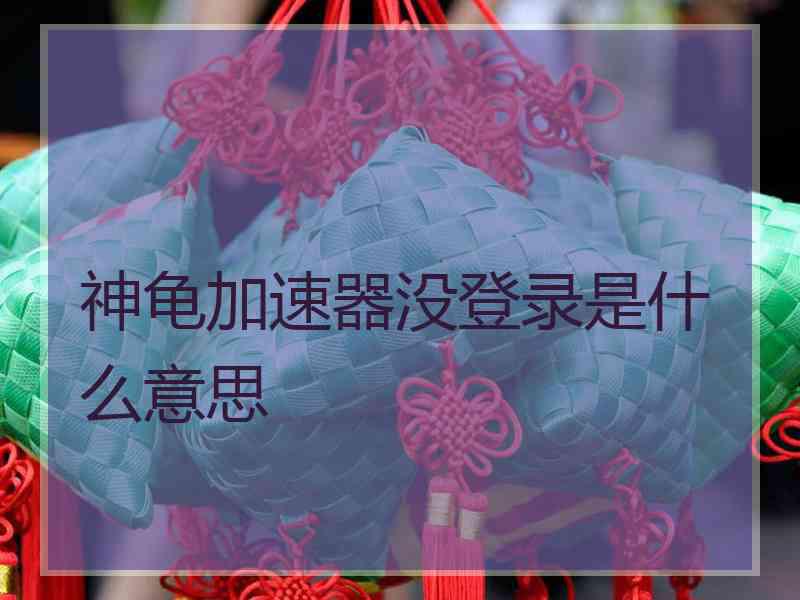 神龟加速器没登录是什么意思