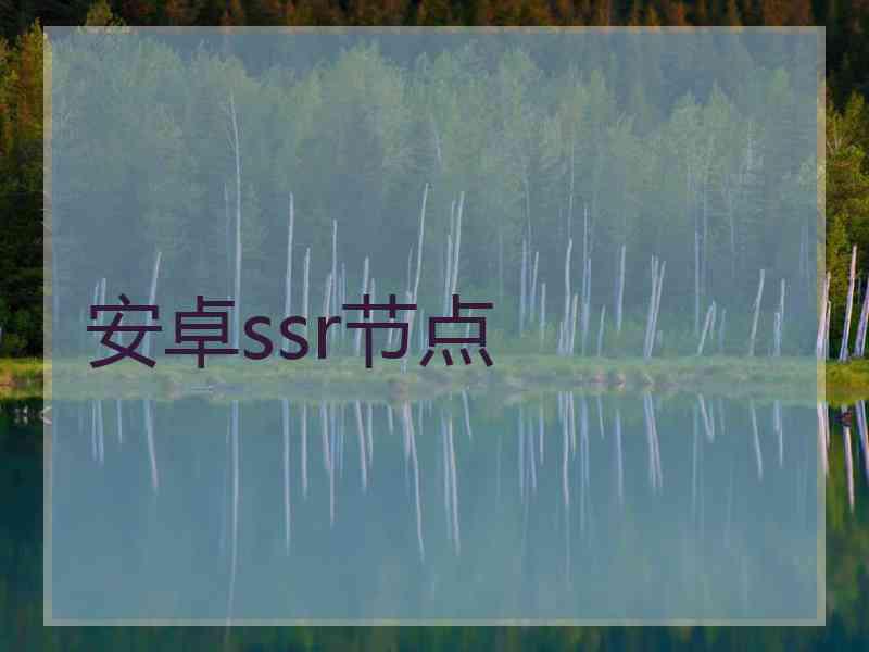 安卓ssr节点