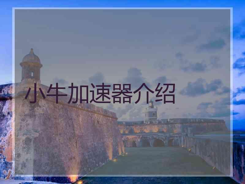 小牛加速器介绍