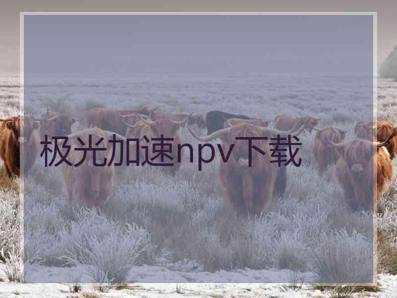 极光加速npv下载