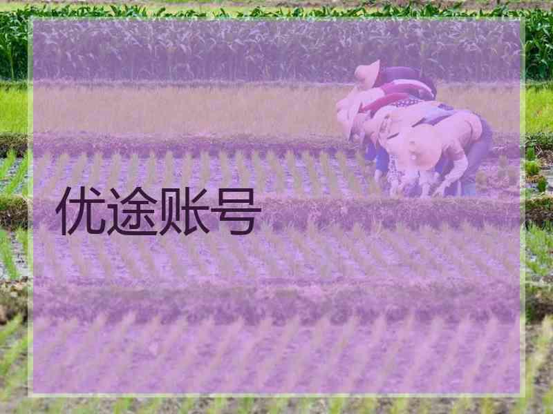 优途账号