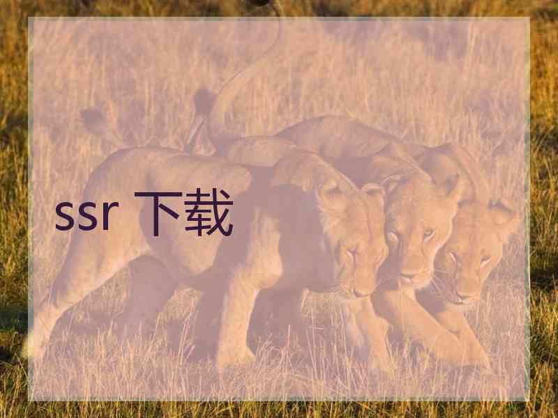 ssr 下载