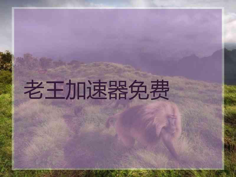 老王加速器免费