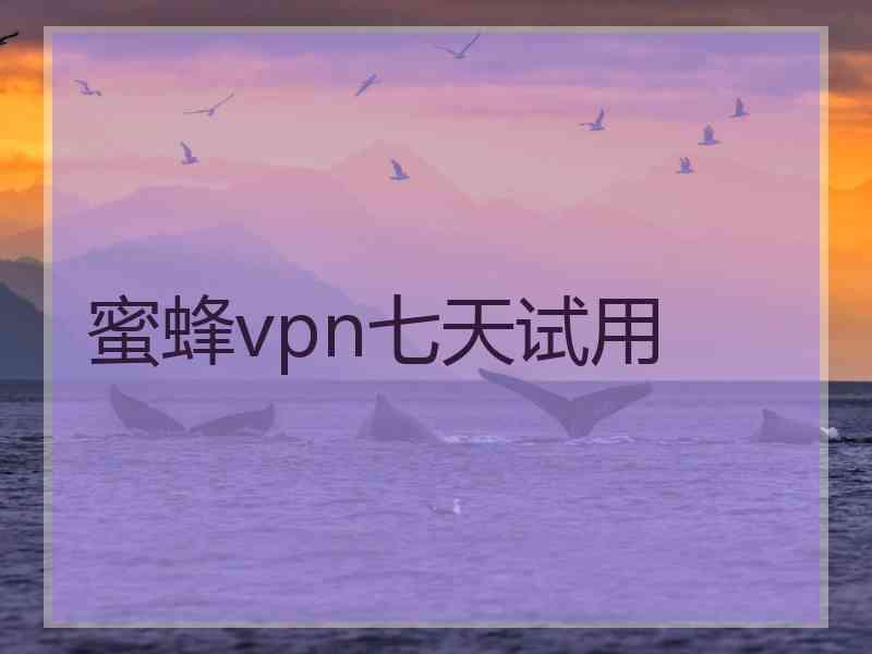 蜜蜂vpn七天试用