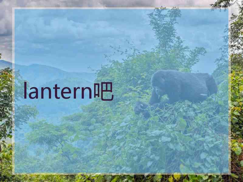 lantern吧