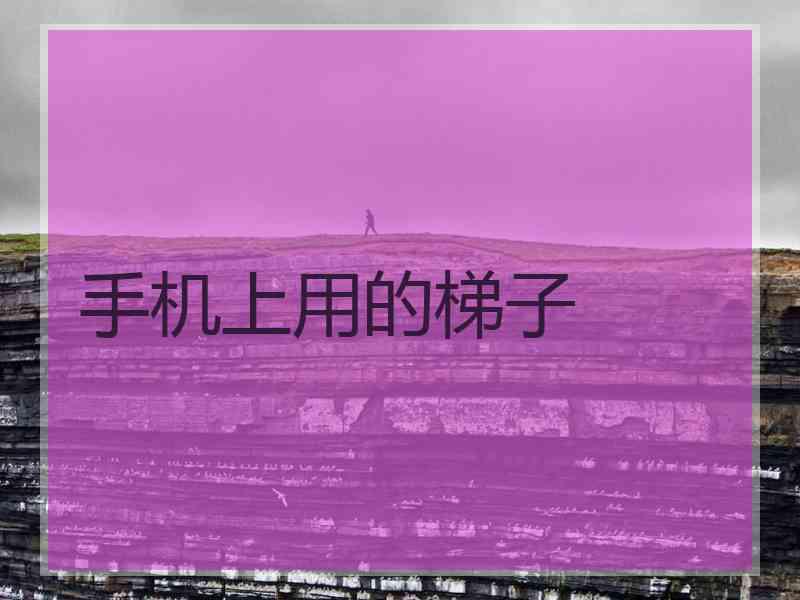 手机上用的梯子