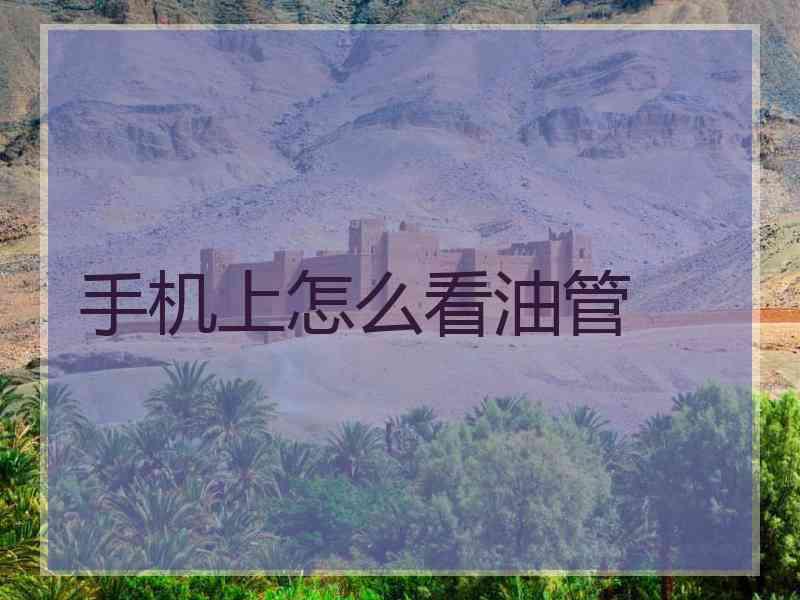 手机上怎么看油管
