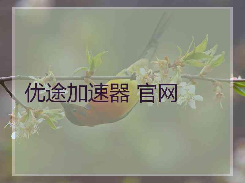 优途加速器 官网
