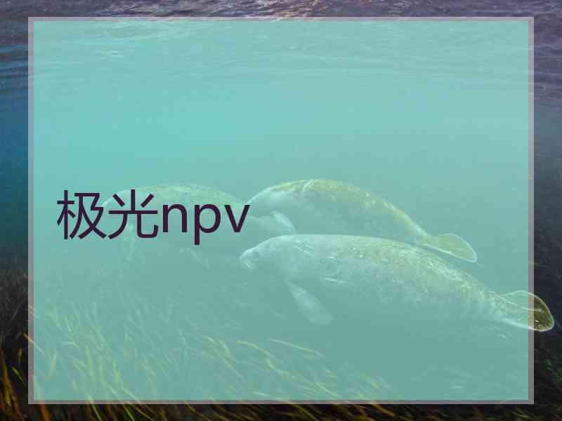 极光npv