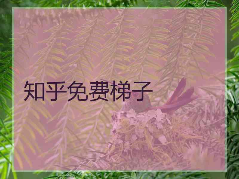 知乎免费梯子