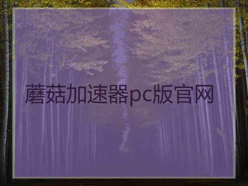 蘑菇加速器pc版官网