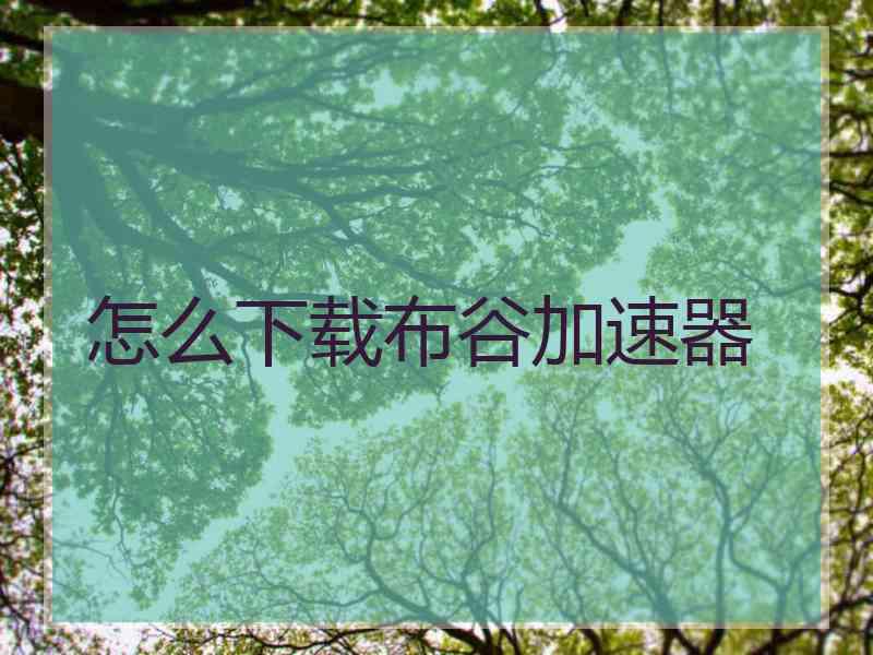怎么下载布谷加速器