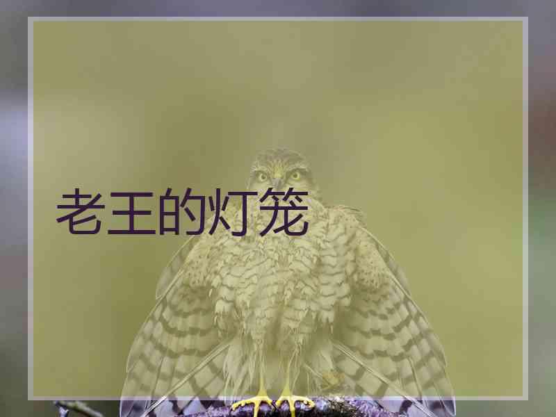 老王的灯笼