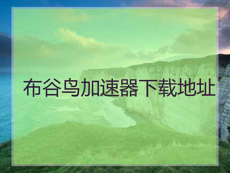 布谷鸟加速器下载地址
