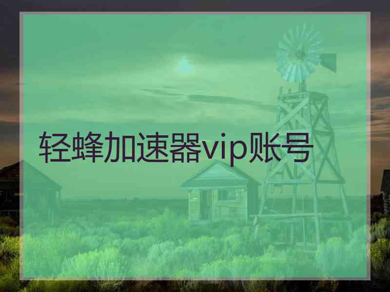 轻蜂加速器vip账号