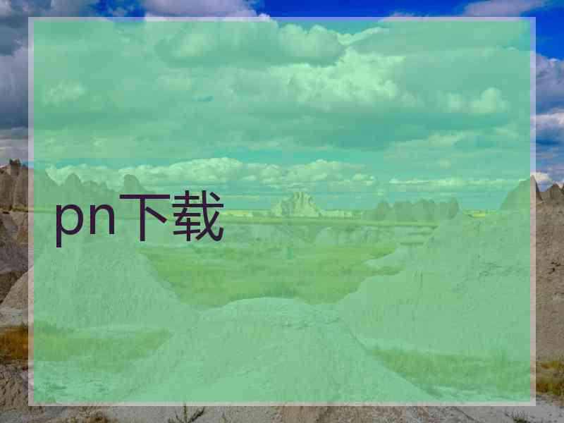 pn下载