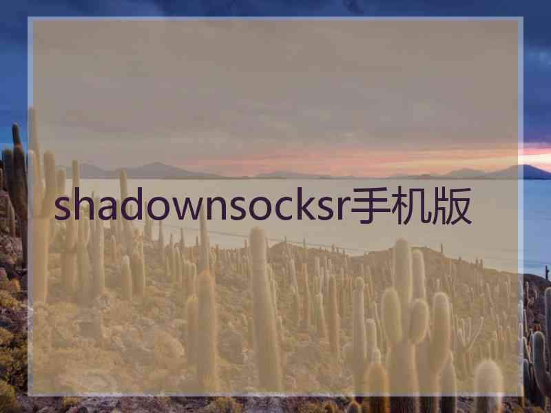 shadownsocksr手机版