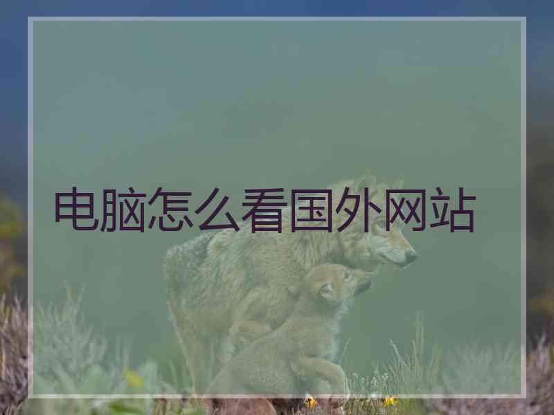 电脑怎么看国外网站