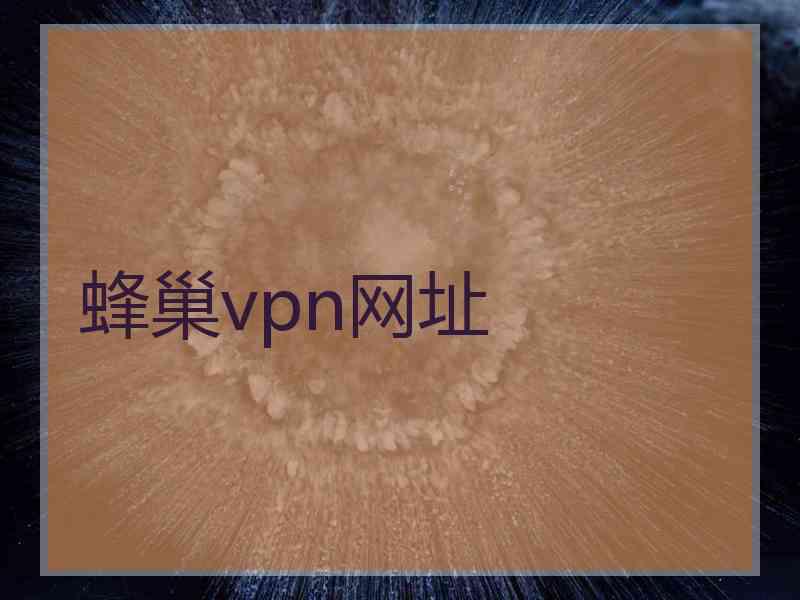 蜂巢vpn网址