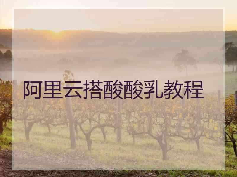 阿里云搭酸酸乳教程