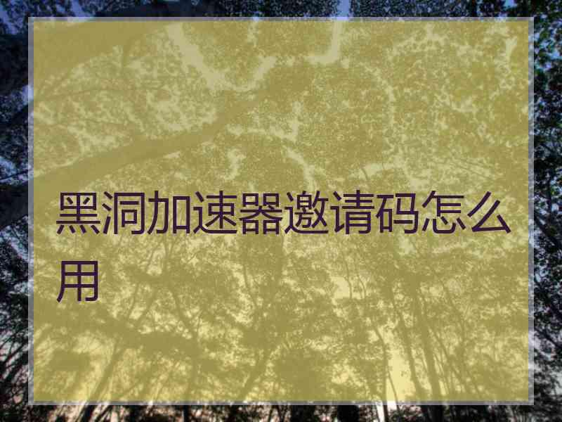 黑洞加速器邀请码怎么用